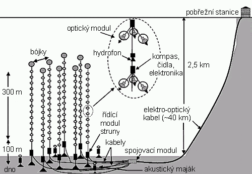 Schéma detektoru