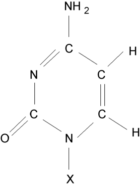 Cytosin