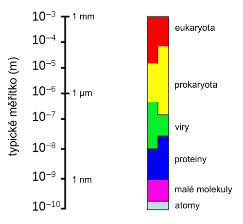 Měřítko života