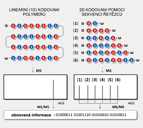 Kódování pomocí polymerních řetězců