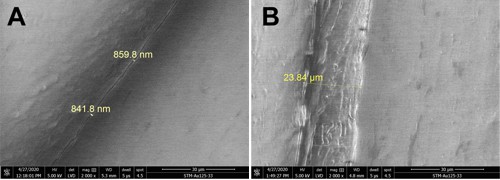 Detail póru v 3D tištěném PLA materiálu ovlivněném namáčením v etanolu (SEM). (A) 5×15 min namáčení v etanolu (B) 24 h namáčení v etanolu.