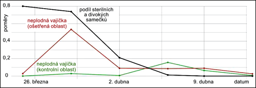 Časová dynamika poměru sterilního a divokého samečka