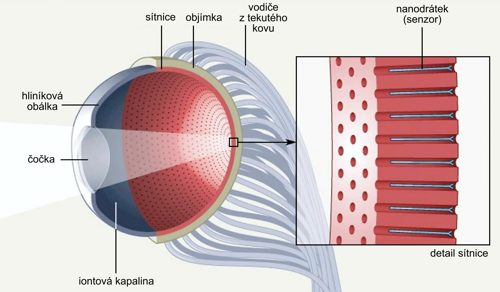 Části biomimetického oka EC-EYE. Nature.