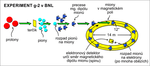 Princip mionového g-2 experimentu v Brookhavenu