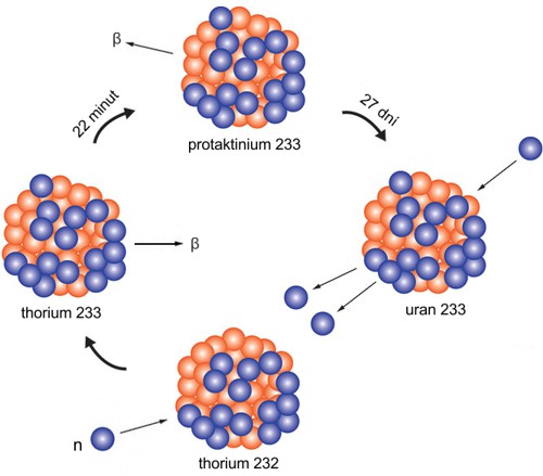 Dvojitý rozpad thoria je základem nového typu reaktoru