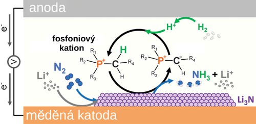 Schéma procesu elektrochemické redukce dusíku na amoniak