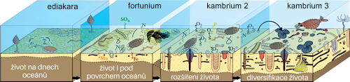 Přechod od ediakarské do kambrické fauny a flory